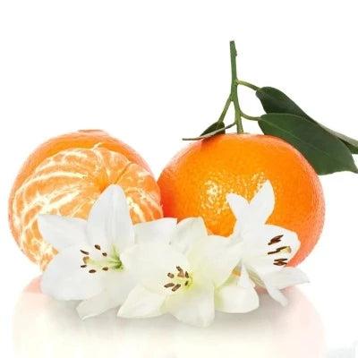 Mandarin & Waterlily Fragrance Oil - The Fragrance Room