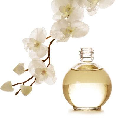 Michael Kors Women Type Fragrance Oil - The Fragrance Room