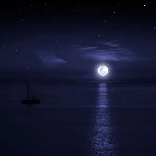 Moonlit Night Fragrance Oil