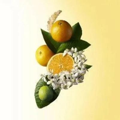 Orange & Bergamot Diffuser Refill - The Fragrance Room