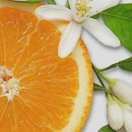 Orange & Ylang Ylang Natural Fragrance Oil - The Fragrance Room