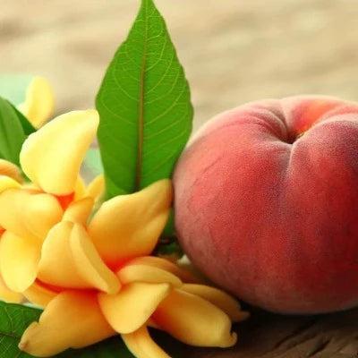 Peach & Ylang Natural Fragrance Oil - The Fragrance Room