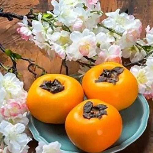 Persimmon & Lily Fragrance Oil - The Fragrance Room