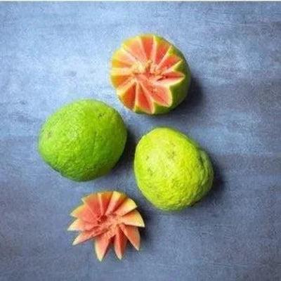 Pink Guava Lime Fragrance Oil - The Fragrance Room