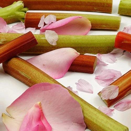 Pink Orchid & Rhubarb Fragrance Oil - The Fragrance Room
