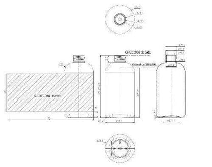 Plastic Bottle W/ 24/410 Clear Pump 250ml - The Fragrance Room