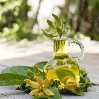 Polynesian Ylang Ylang Fragrance Oil - The Fragrance Room
