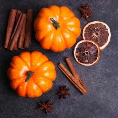 Pumpkin & Clove Fragrance Oil - The Fragrance Room