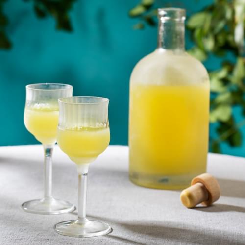 Limoncello Fragrance Oil - The Fragrance Room