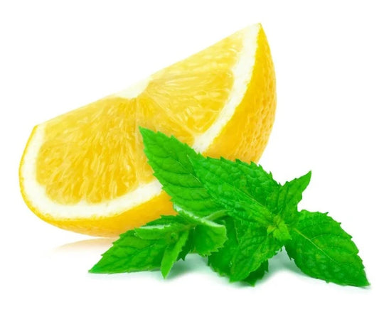 Lemon Verbena Fragrance Oil