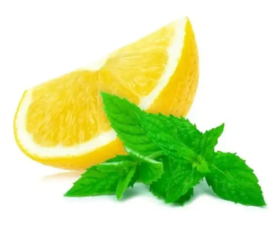 Lemon Verbena Fragrance Oil - The Fragrance Room