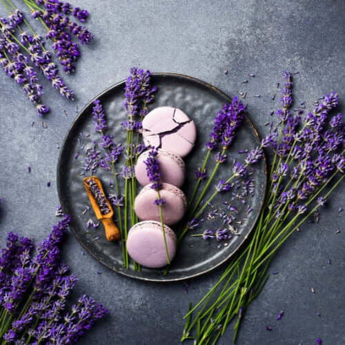 Luxury Lavender Fragrance Oil