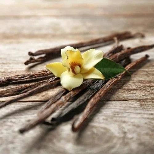 Simply Vanilla Fragrance Oil - The Fragrance Room