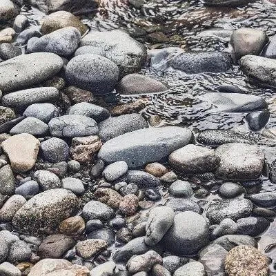 Stone Fragrance Oil - The Fragrance Room