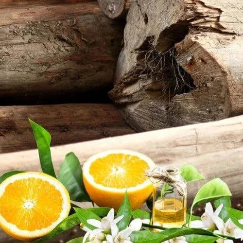 Teak & Neroli Fragrance Oil - The Fragrance Room