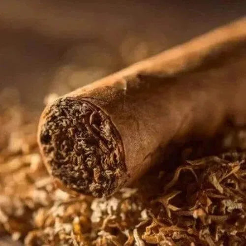 Tobacco Cuban Style Fragrance Oil - The Fragrance Room