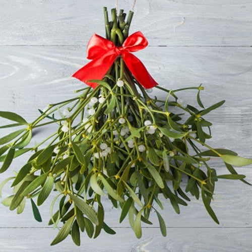 Under The Mistletoe Type Fragrance Oil