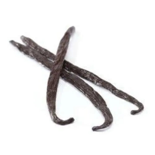 Vanilla Pod Natural Fragrance Oil - The Fragrance Room