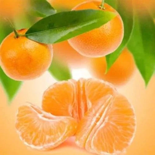 White Musk & Tangerine Fragrance Oil - The Fragrance Room