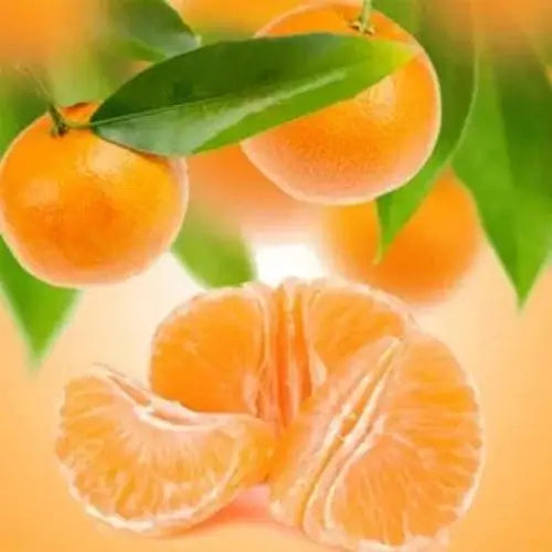 White Musk & Tangerine Fragrance Oil - The Fragrance Room