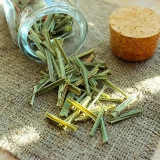 Wild Lemongrass Fragrance Oil - The Fragrance Room