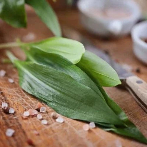 Wood Sage and Sea Salt Fragrance Oil