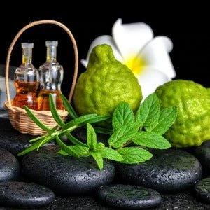 Bergamot Citrus & Clove Fragrance Oil - The Fragrance Room