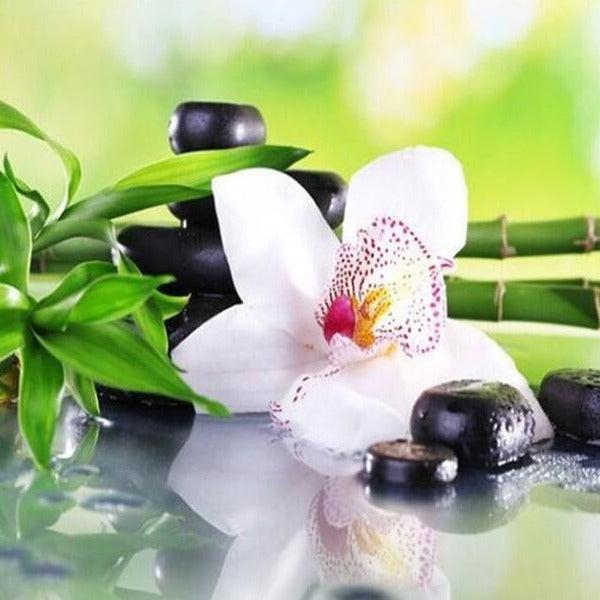 Black Bamboo & Lily Diffuser Oil Refill - The Fragrance Room