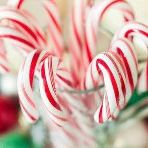 Candy Cane Reed Diffuser Refill - The Fragrance Room