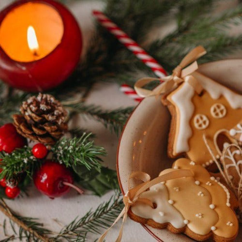 Rum & Gingerbread Reed Diffuser Refill - The Fragrance Room
