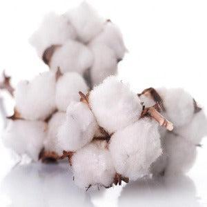 Clean Cotton Fragrance Oil - The Fragrance Room