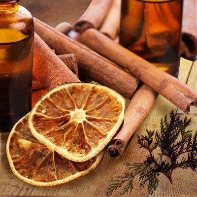 Clove, Orange & Cedarleaf Diffuser Oil Refill - The Fragrance Room