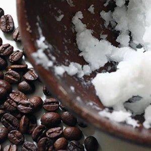 Coconut & Coffee Bean Fragrance Oil - The Fragrance Room