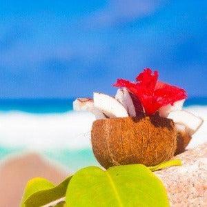 Coconut Palm & Hibiscus Fragrance Oil - The Fragrance Room