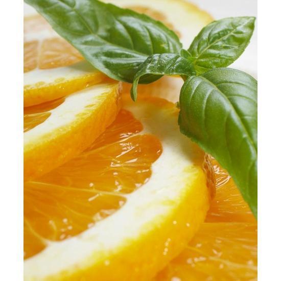 Cool Citrus Basil Diffuser Oil Refill - The Fragrance Room