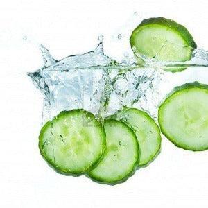 Cucumber Water Fragrance Oil - The Fragrance Room