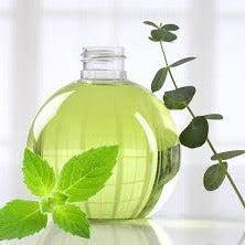 Eucalyptus & Spearmint Diffuser Oil Refill - The Fragrance Room