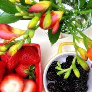 Freesia & Summer Berries Fragrance Oil - The Fragrance Room
