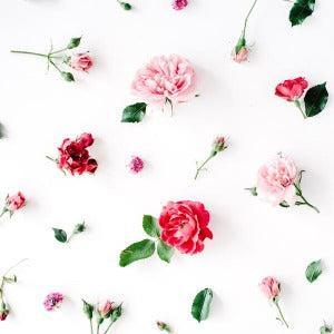 Fresh Cut Rose Diffuser Oil Refill - The Fragrance Room