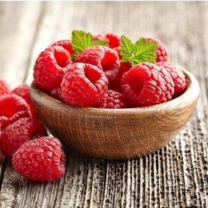 Fresh Raspberries Fragrance Oil - The Fragrance Room