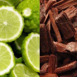 Kaffir Lime & Sandalwood Fragrance Oil - The Fragrance Room