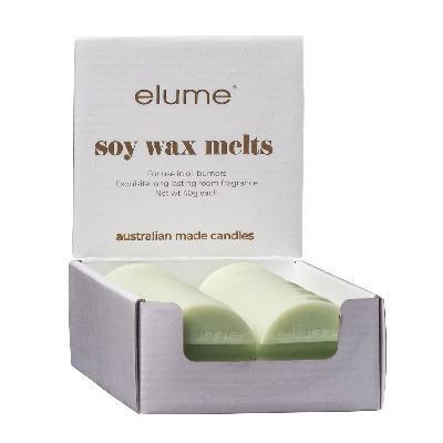Key Lime Mint Leaf Soy Wax Melts - The Fragrance Room
