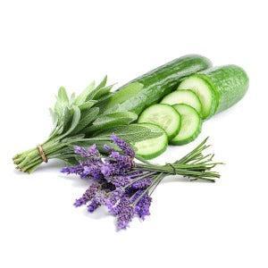 Lavender Cucumber & Sage Fragrance Oil - The Fragrance Room