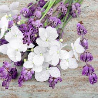 Lavender Jasmine Fragrance Oil - The Fragrance Room