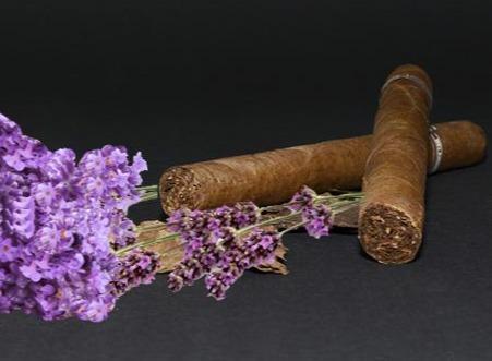 Lavender Tobacco Diffuser Oil Refill - The Fragrance Room