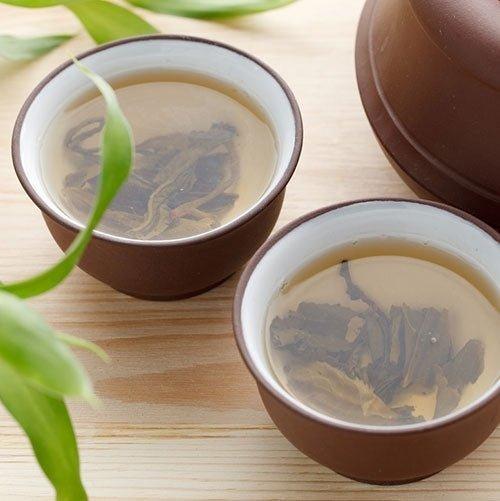 Lemongrass & Green Tea Diffuser Oil Refill - The Fragrance Room