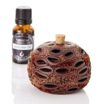 Mini Banksia Pod Diffuser - The Fragrance Room