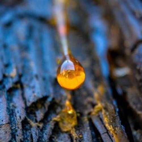 Mysterious Amber Fragrance Oil - The Fragrance Room
