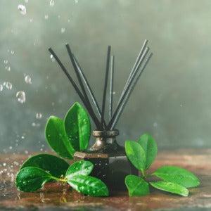 Reed Diffuser Oil Refill 100ml - The Fragrance Room