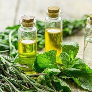 Rosemary & Mint Fragrance Oil - The Fragrance Room